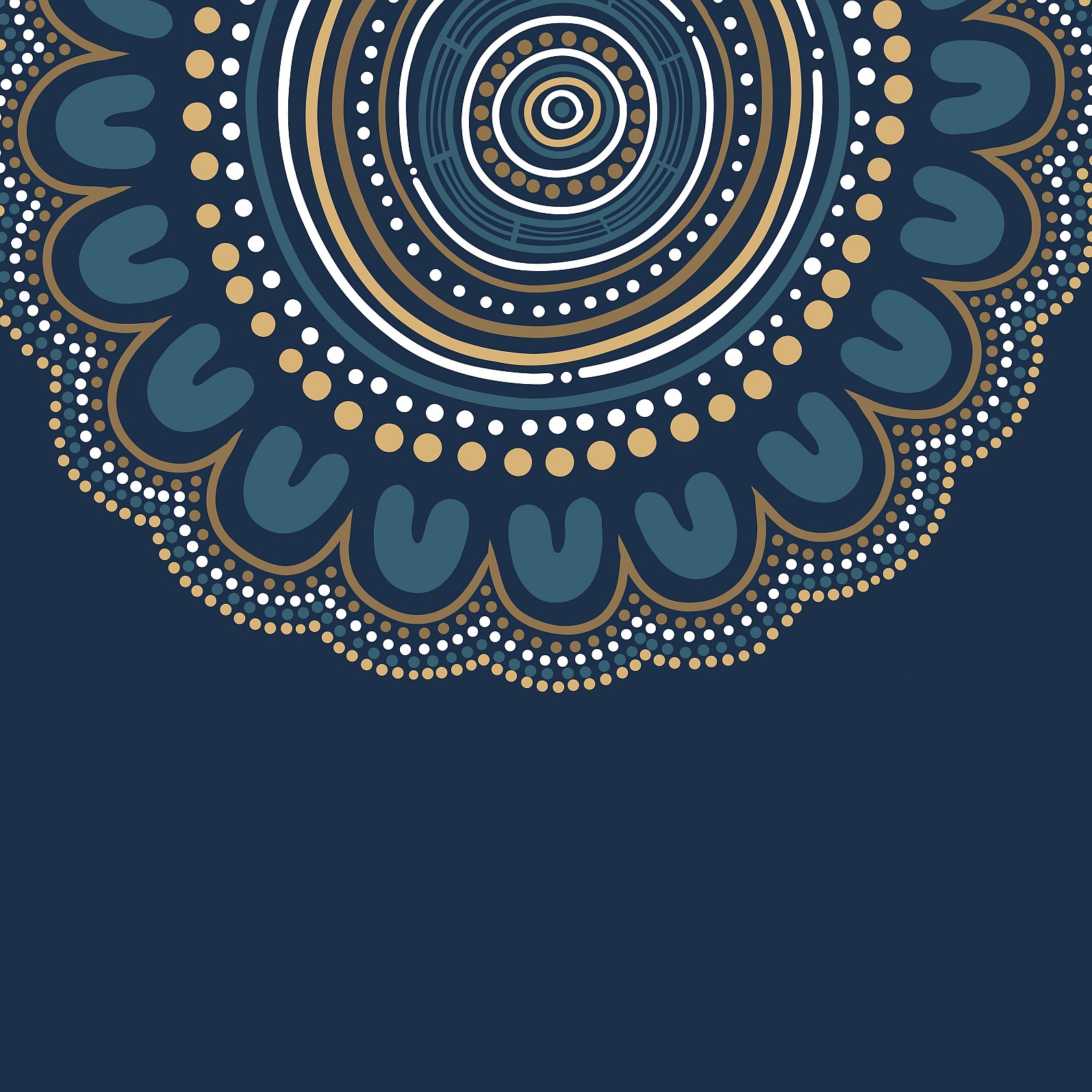 MDAS Confirms Board Election